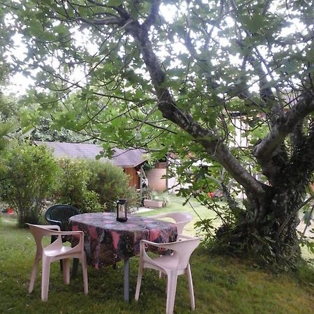 Gite L'Appel De La Foret Betplan المظهر الخارجي الصورة