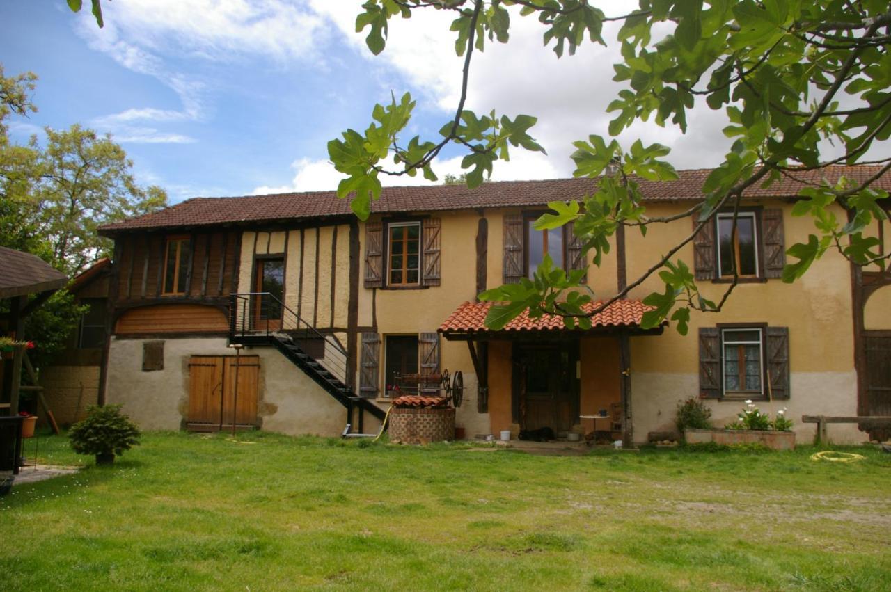 Gite L'Appel De La Foret Betplan المظهر الخارجي الصورة