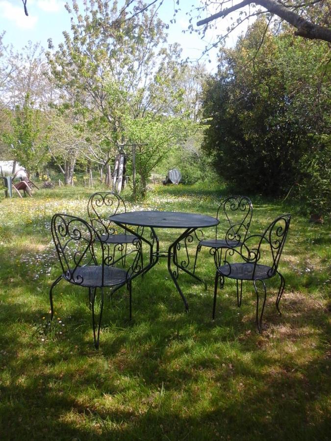 Gite L'Appel De La Foret Betplan المظهر الخارجي الصورة