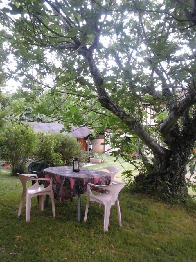 Gite L'Appel De La Foret Betplan المظهر الخارجي الصورة