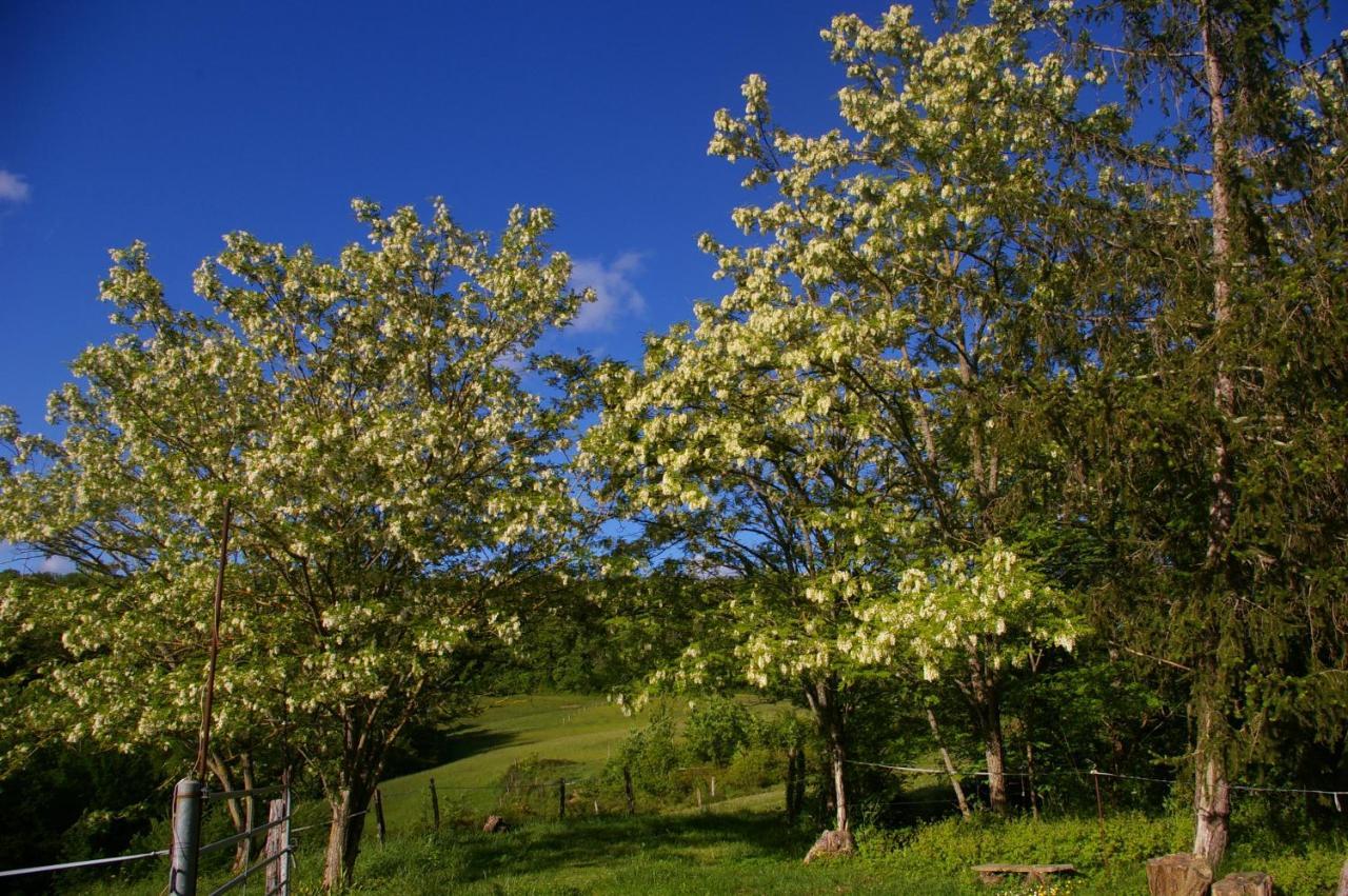 Gite L'Appel De La Foret Betplan المظهر الخارجي الصورة
