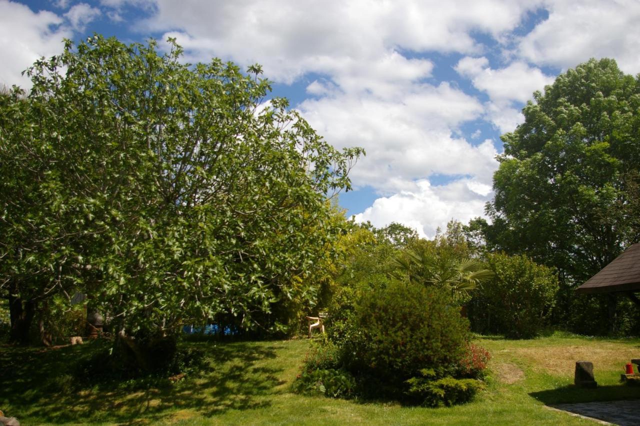 Gite L'Appel De La Foret Betplan المظهر الخارجي الصورة