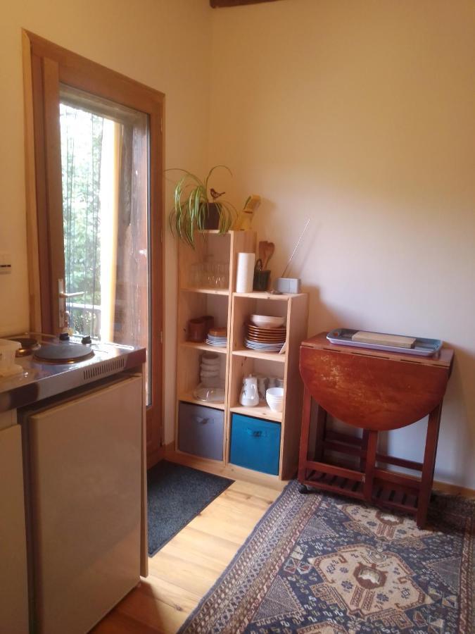 Gite L'Appel De La Foret Betplan المظهر الخارجي الصورة